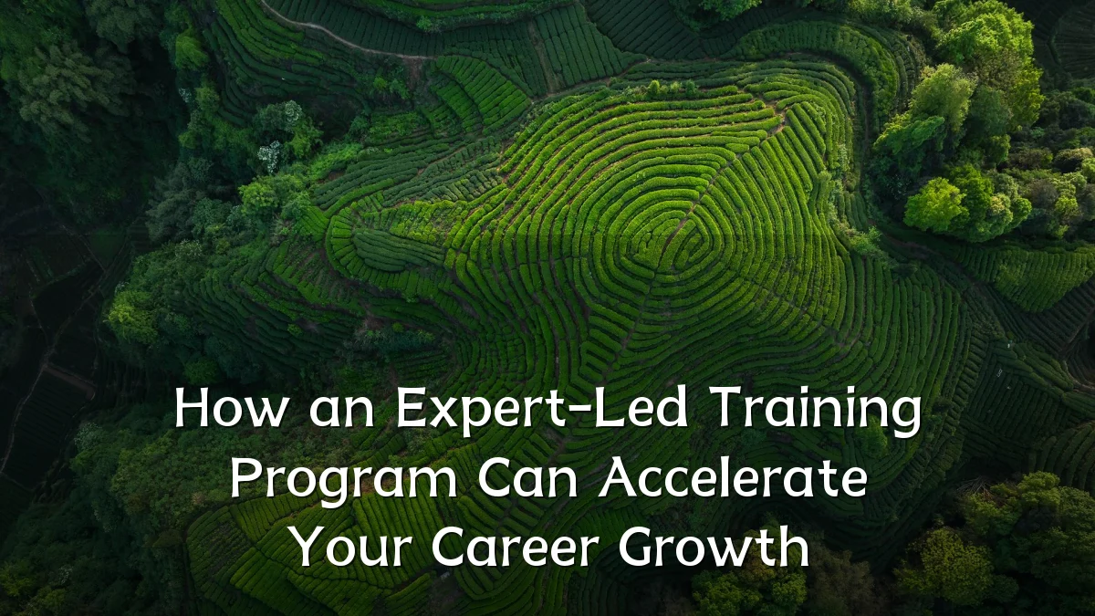 How an Expert-Led Training Program Can Accelerate Your Career Growth