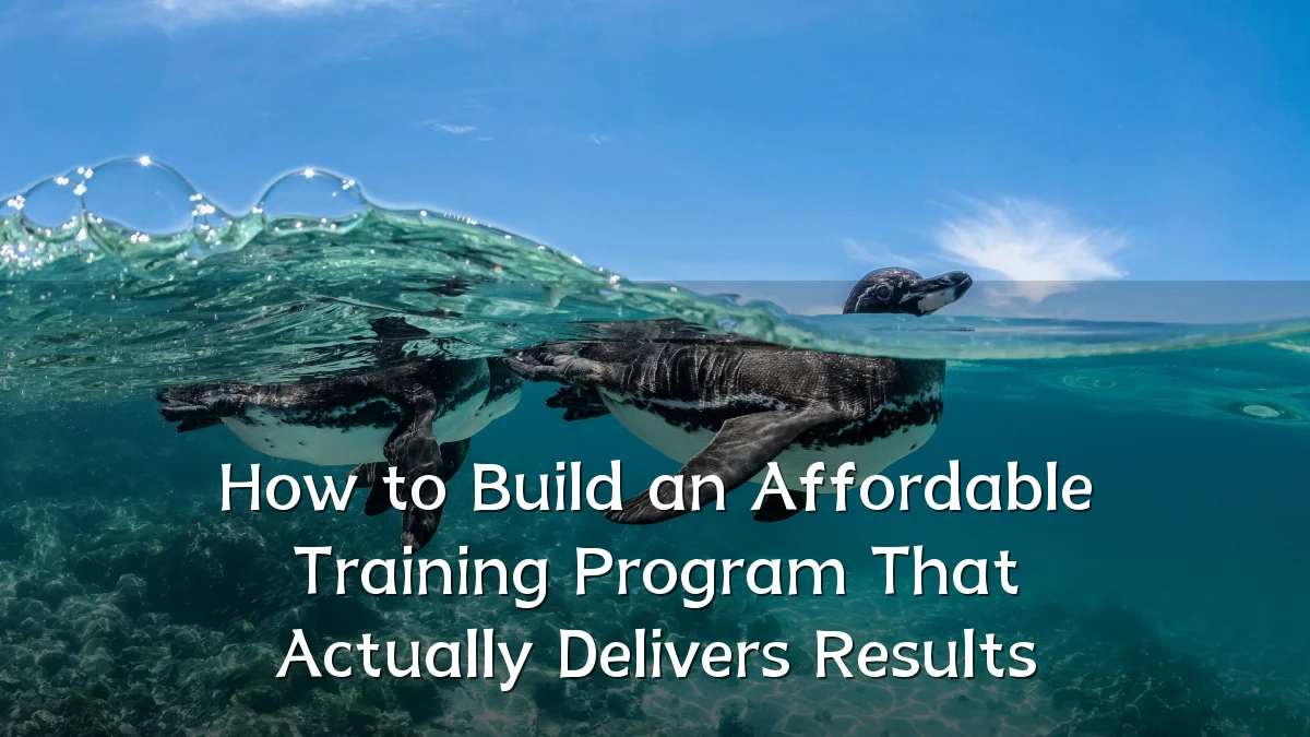 How to Build an Affordable Training Program That Actually Delivers Results