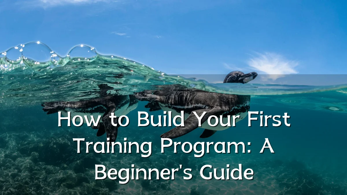 How to Build Your First Training Program: A Beginner's Guide