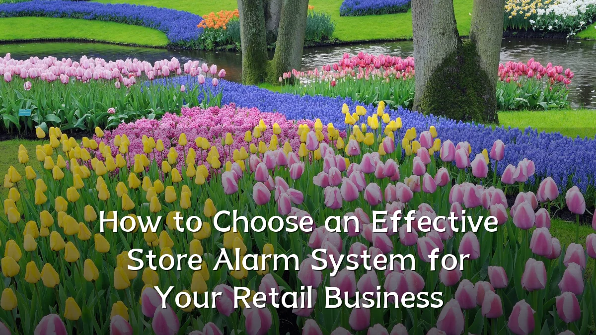 How to Choose an Effective Store Alarm System for Your Retail Business