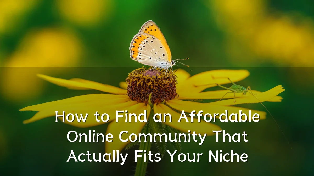 How to Find an Affordable Online Community That Actually Fits Your Niche