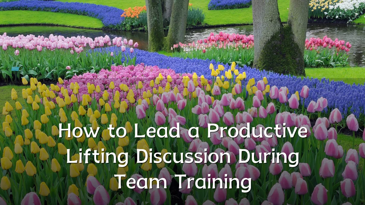 How to Lead a Productive Lifting Discussion During Team Training