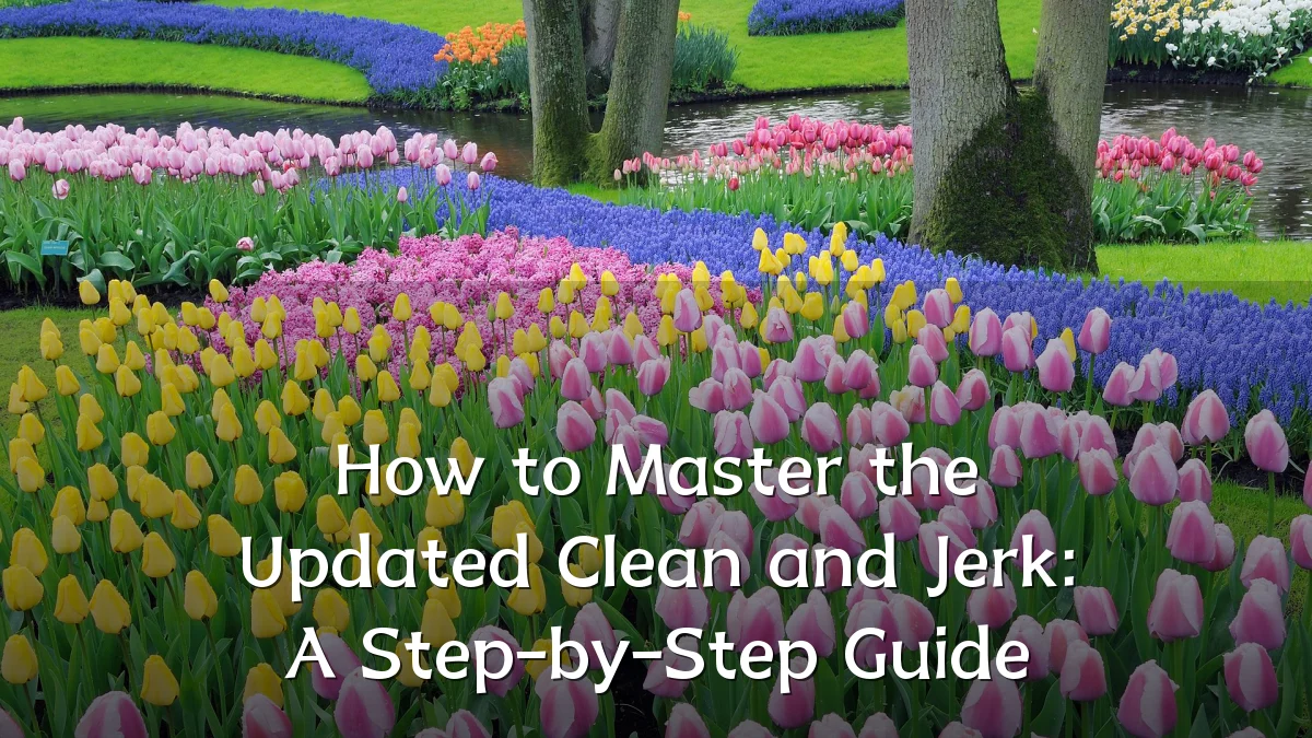 How to Master the Updated Clean and Jerk: A Step-by-Step Guide