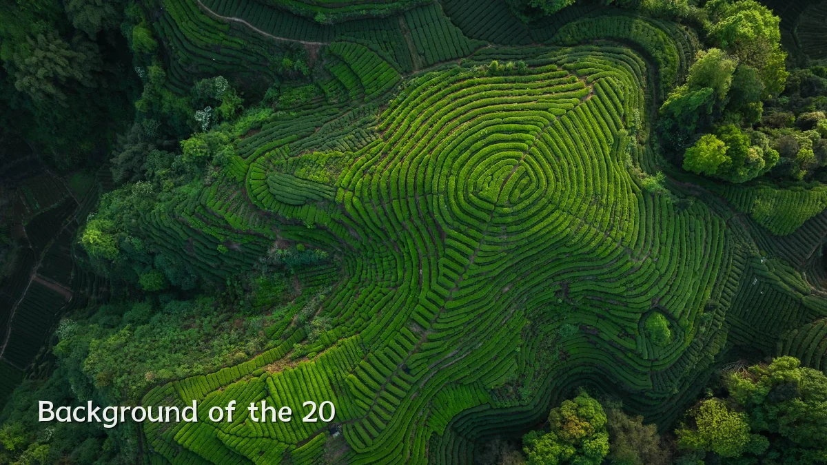 Background of the 20