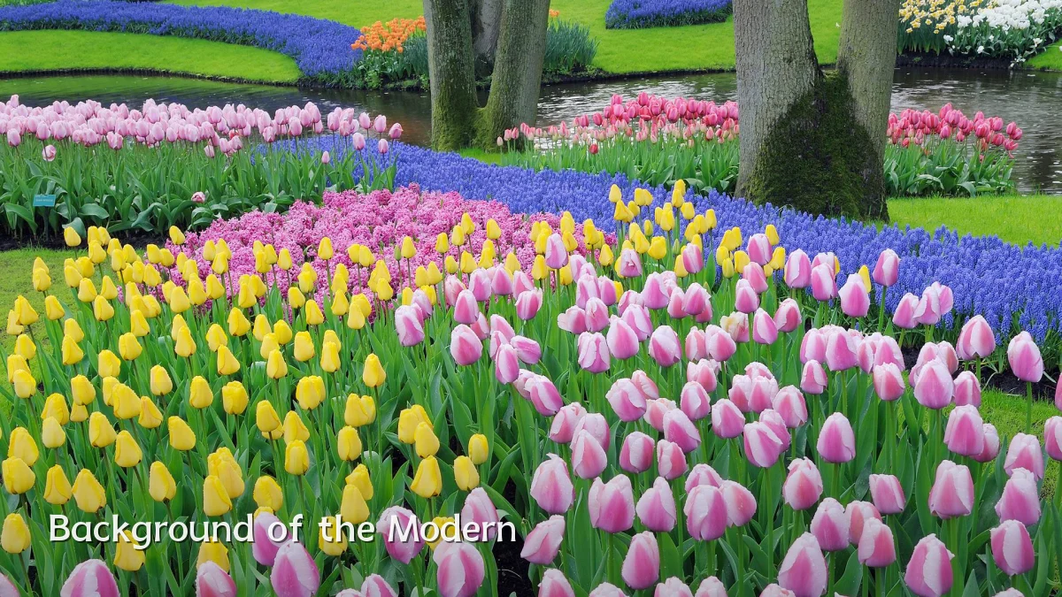 Background of the Modern