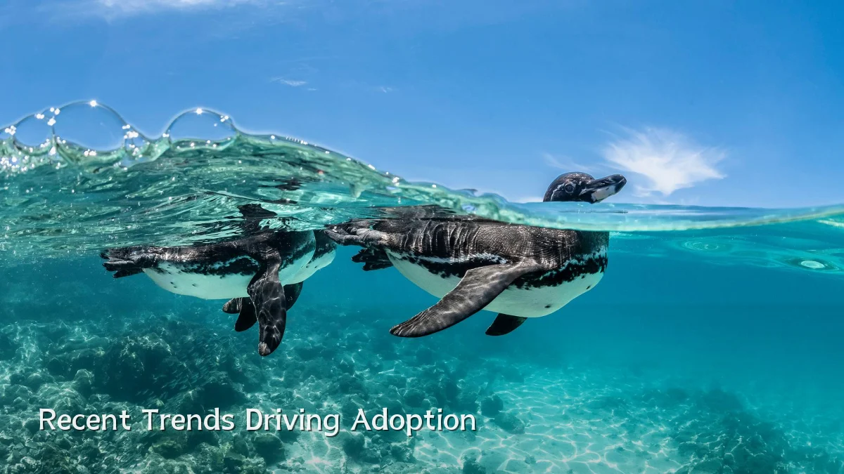Recent Trends Driving Adoption