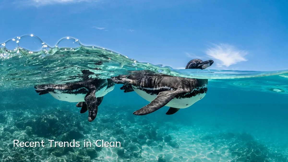 Recent Trends in Clean