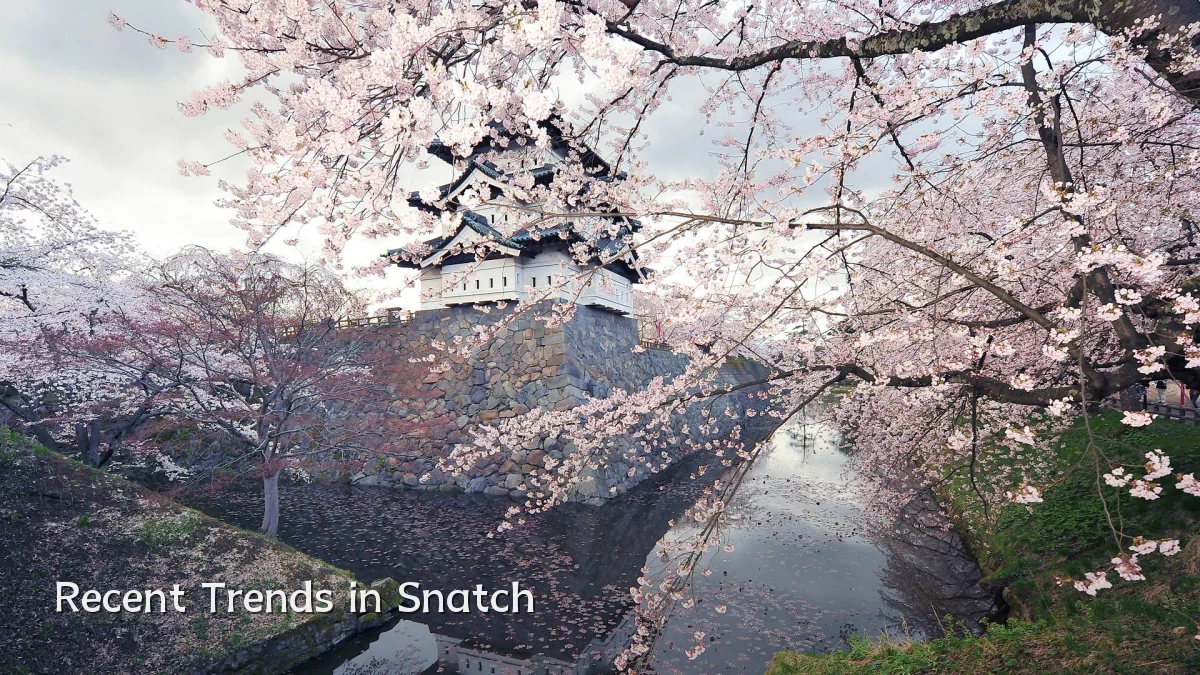 Recent Trends in Snatch