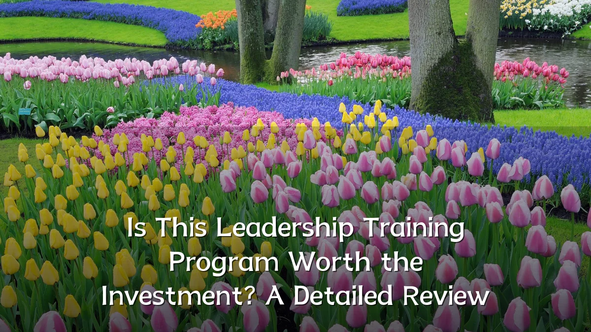 Is This Leadership Training Program Worth the Investment? A Detailed Review