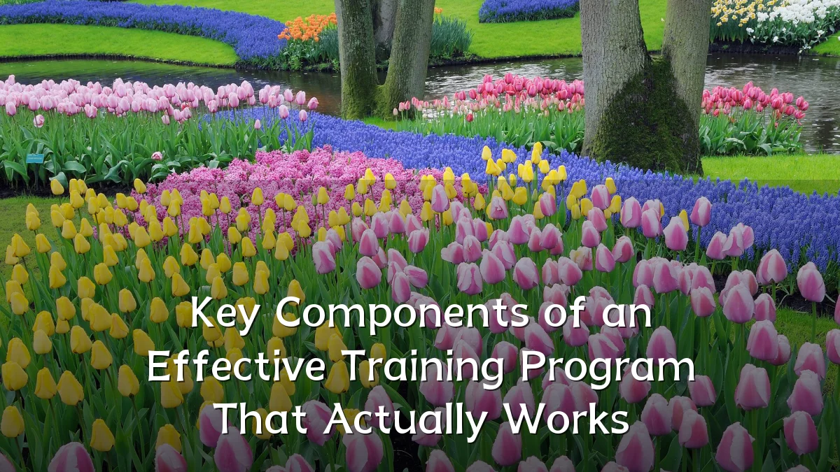 Key Components of an Effective Training Program That Actually Works