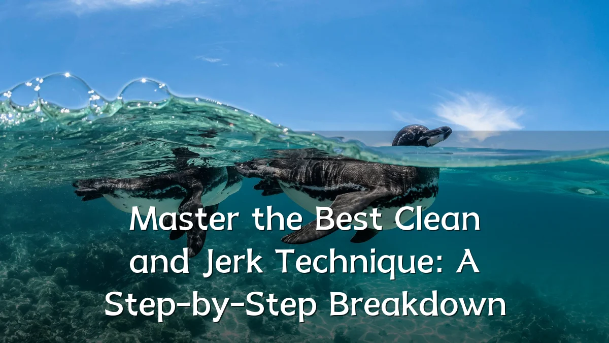 Master the Best Clean and Jerk Technique: A Step-by-Step Breakdown