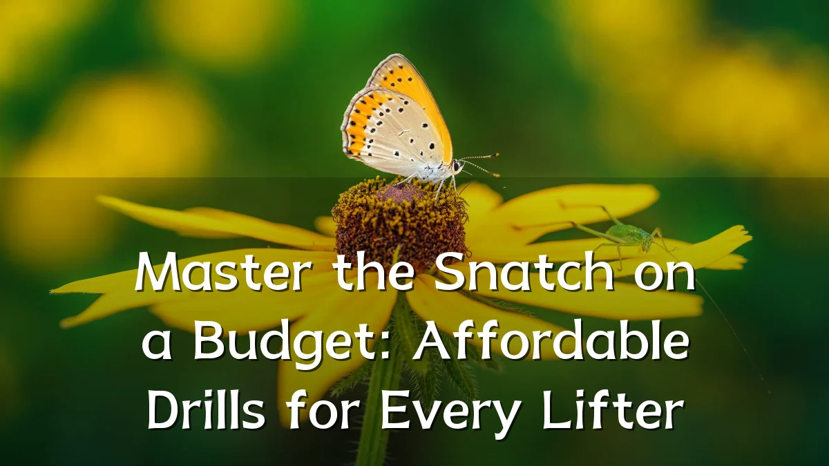 Master the Snatch on a Budget: Affordable Drills for Every Lifter