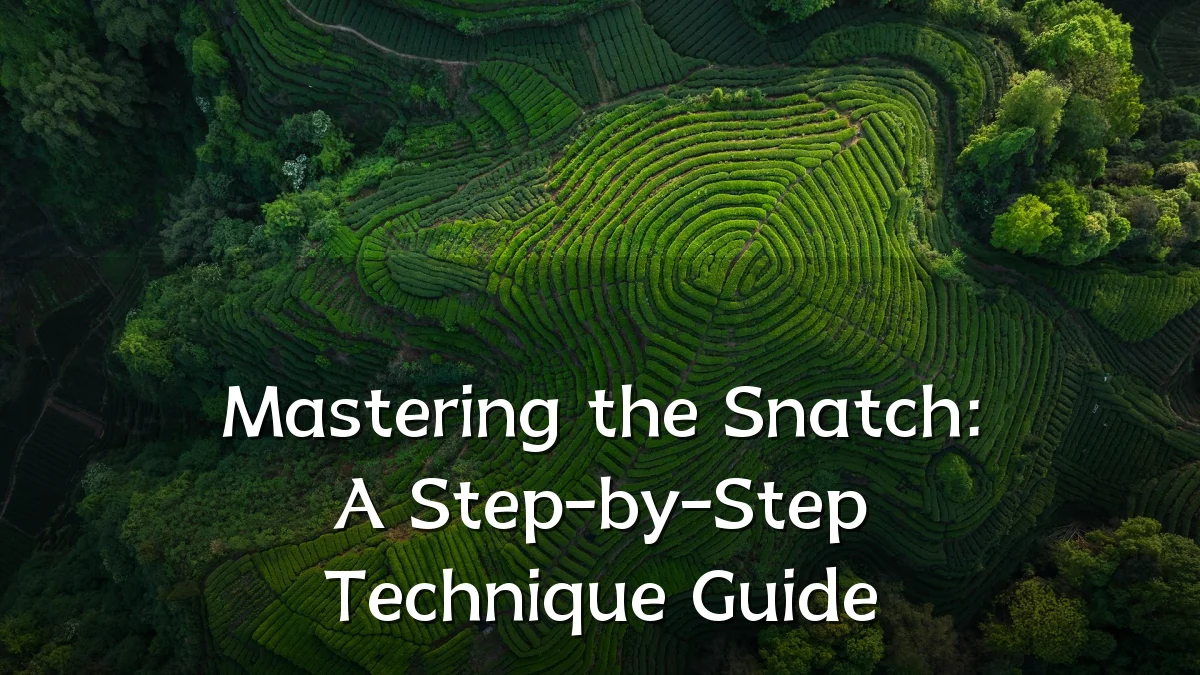 Mastering the Snatch: A Step-by-Step Technique Guide