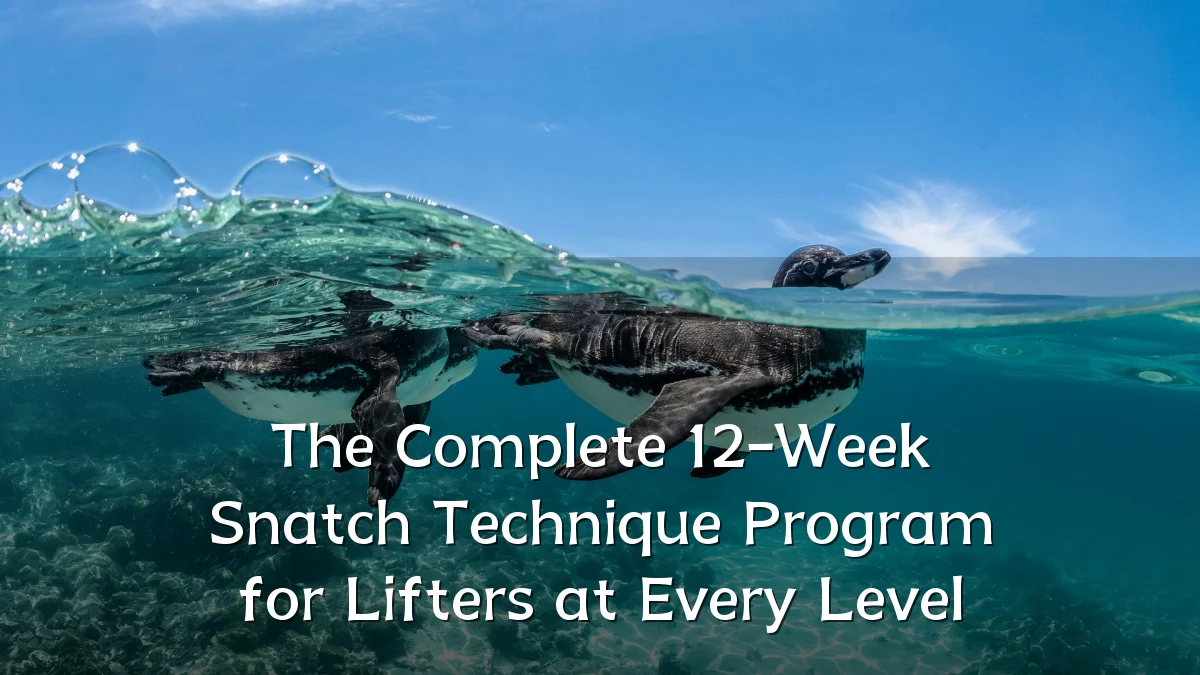 The Complete 12-Week Snatch Technique Program for Lifters at Every Level