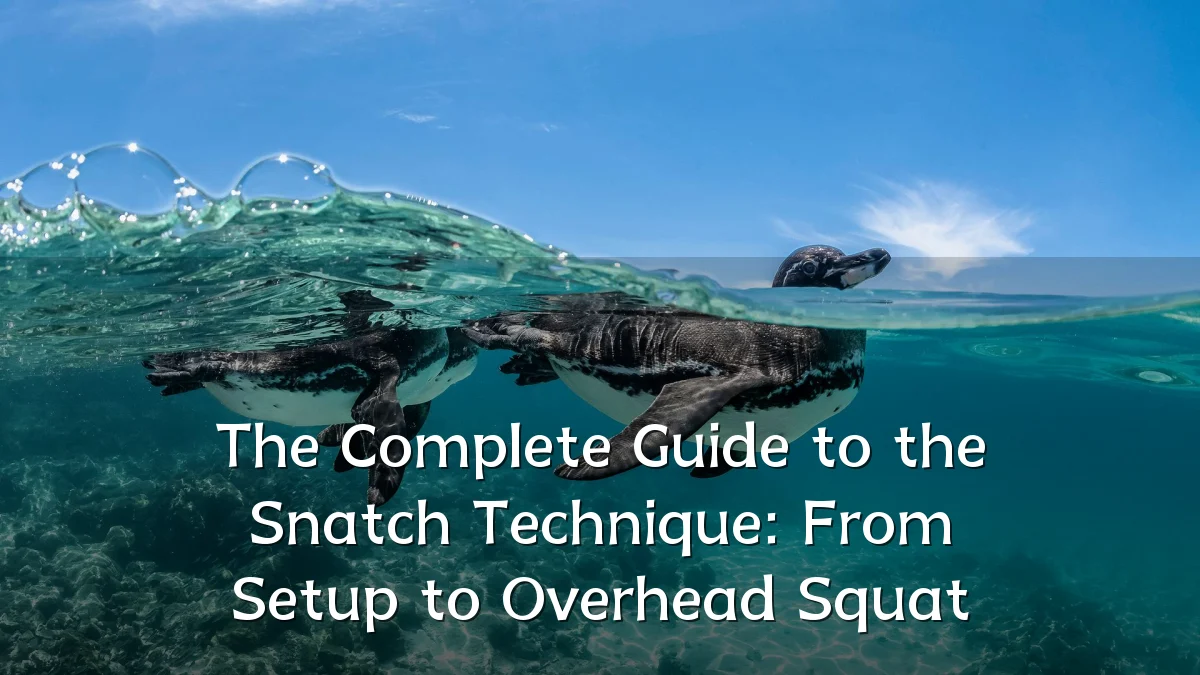 The Complete Guide to the Snatch Technique: From Setup to Overhead Squat