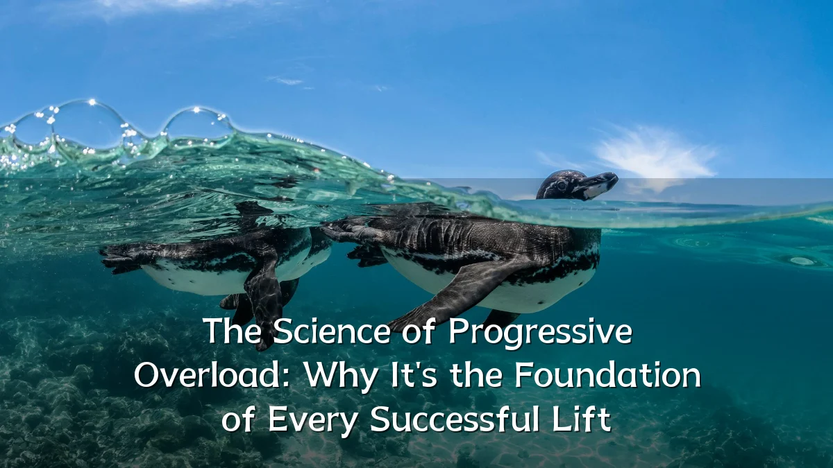 The Science of Progressive Overload: Why It's the Foundation of Every Successful Lift