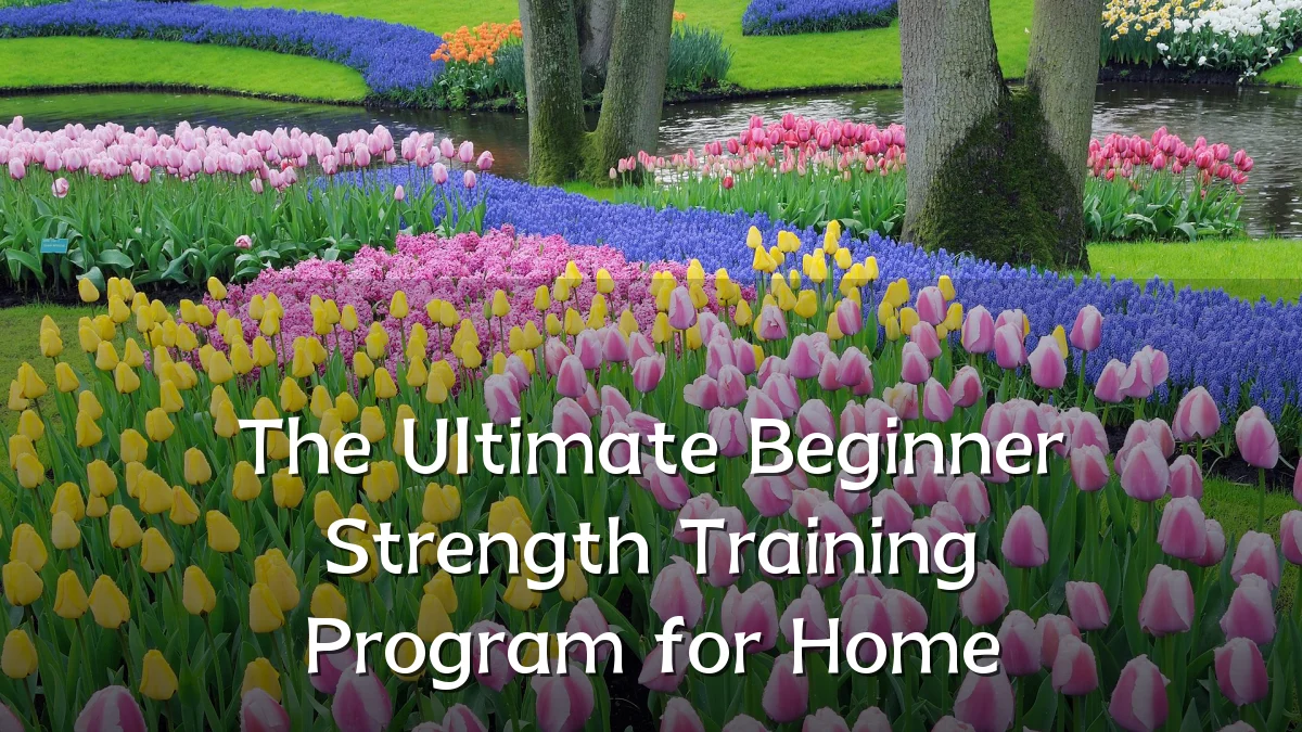 The Ultimate Beginner Strength Training Program for Home