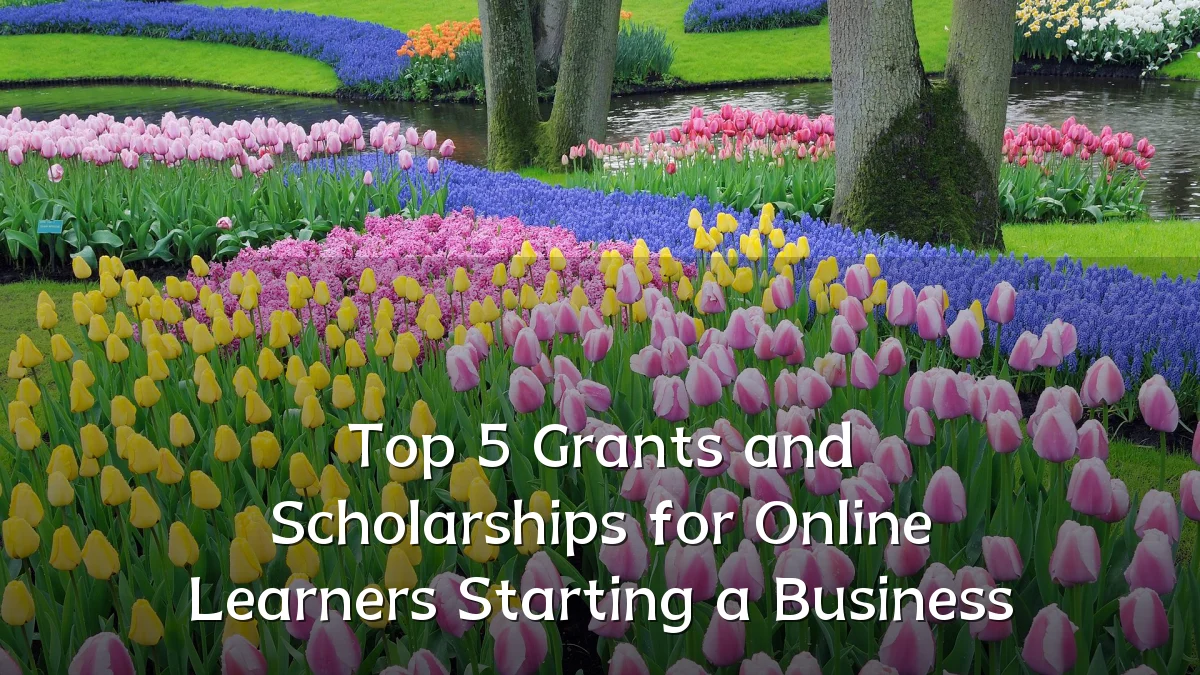 Top 5 Grants and Scholarships for Online Learners Starting a Business