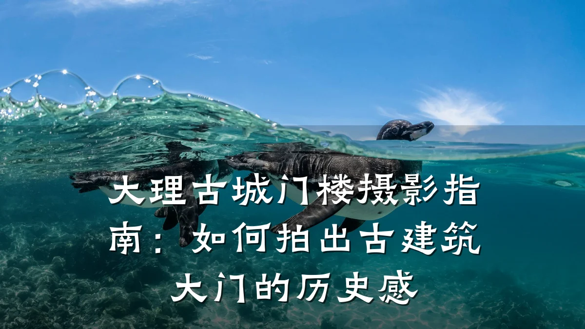 大理古城门楼摄影指南：如何拍出古建筑大门的历史感