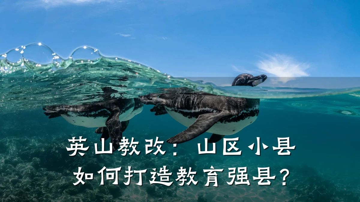 英山教改:山区小县如何打造教育强县?